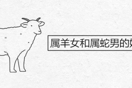 属蛇男与属羊女的婚姻配对分析：两者的优缺点和相处之道