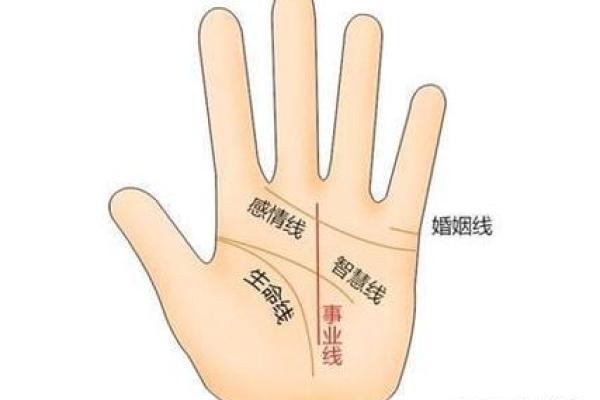 解读手相中的灵感线：如何从手掌发现创意与直觉的秘密
