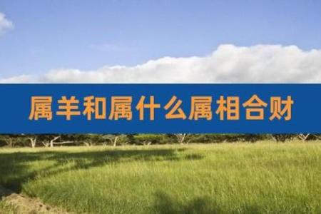 属羊与属虎的婚姻能否长久？揭开两者相配的奥秘