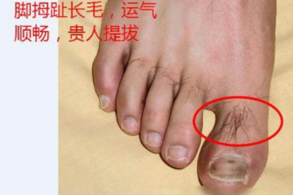 富贵命的脚型特征与运势的关系解析