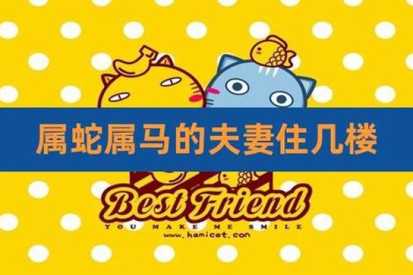 属马与属蛇能否长久相守