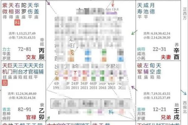 紫微网排盘解析：如何准确解读个人命运轨迹