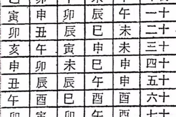 紫微网排盘解析：如何准确解读个人命运轨迹