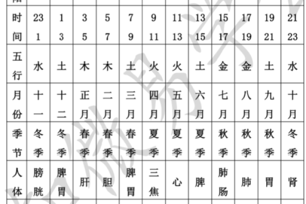 六爻排盘软件下载与使用指南