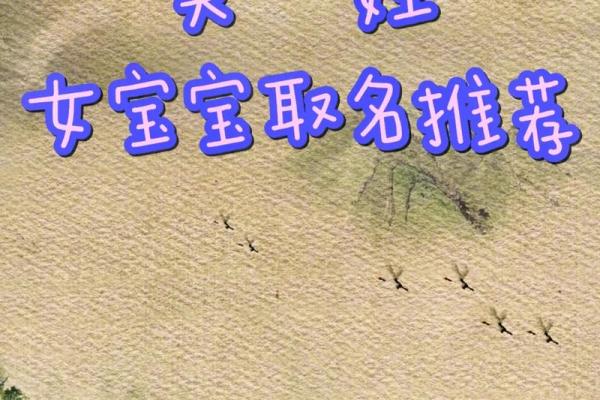 女宝宝起名趋势与精选名字推荐