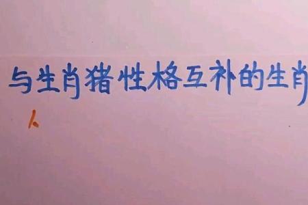 猪生肖的性格特点与命运解析