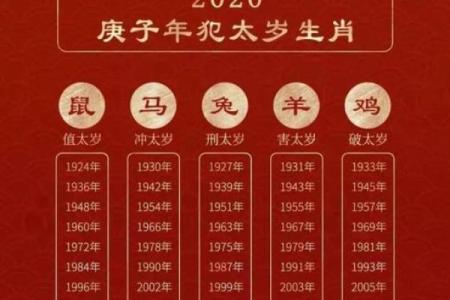 出生的人属鼠的生肖特点分析