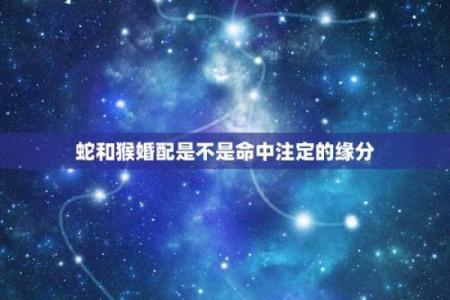 属蛇男与属羊女的缘分：星座配对中的挑战与和谐
