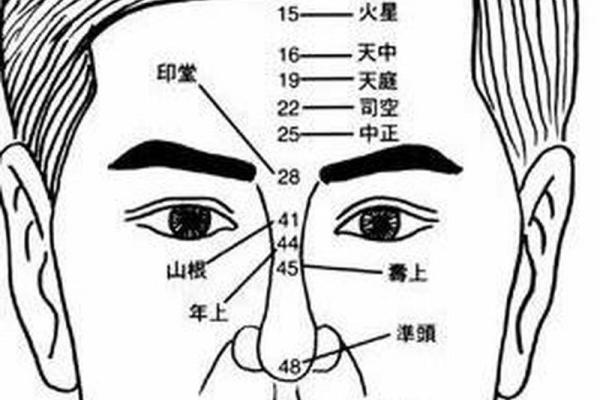 男性面部痣相解析：不同位置痣的性格与命运暗示