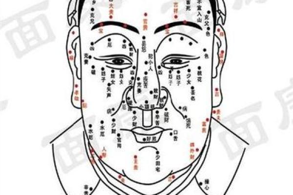 男性面部痣相解析：不同位置痣的性格与命运暗示