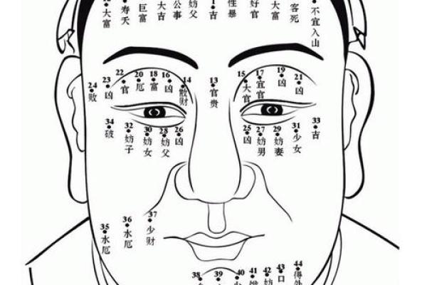 私处长痣与麻衣神相的关系及其命理解析