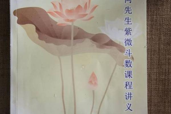 紫微斗数如何影响子女教育