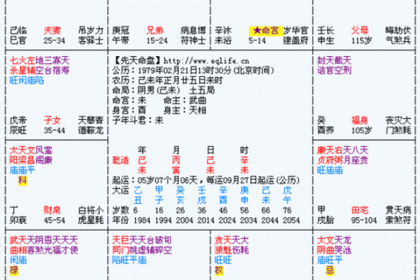 紫微八字排盘揭秘：如何通过命盘解析人生运势