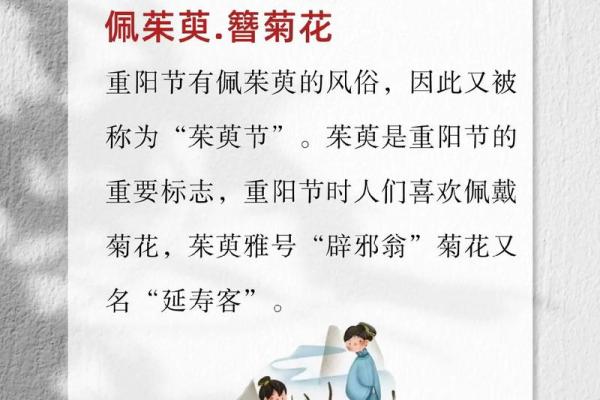 重阳节的由来与习俗解析