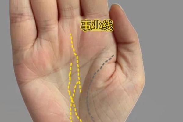 手指粗的手相与事业发展之间的关系