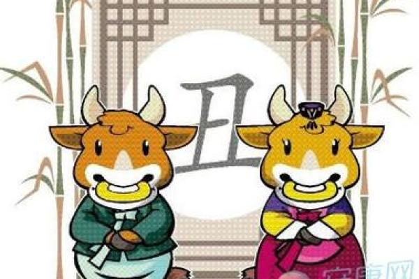 兔羊配对：探索理想婚姻中的互补与融合