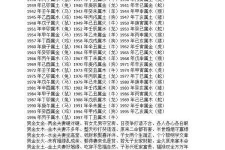 兔羊配对：探索理想婚姻中的互补与融合