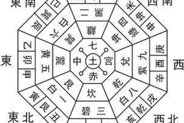 风水学中财位养花的最佳选择与布局技巧