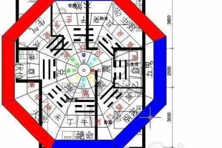 风水学中财位养花的最佳选择与布局技巧