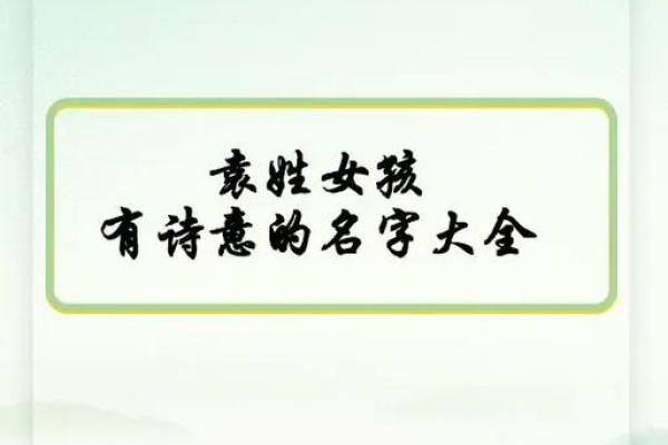 袁姓女宝宝起名指南：优雅独特的名字推荐