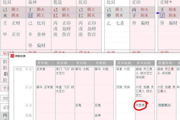 深入探讨金运之命的命理基础