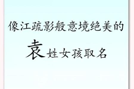 袁姓女宝宝起名指南：优雅独特的名字推荐