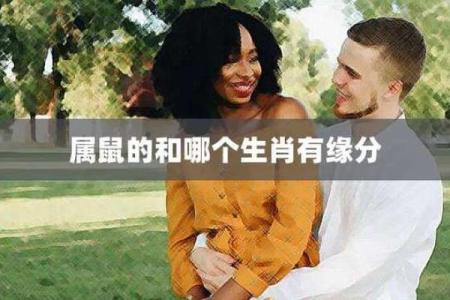 鼠与最合适生肖的缘分搭配