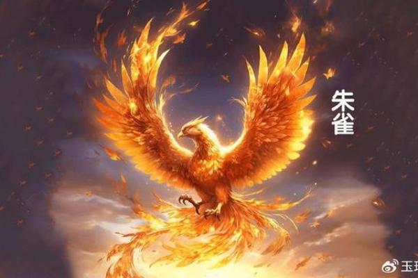朱雀命在四象命理中的独特作用