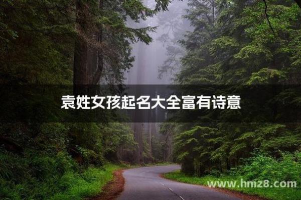 适合袁姓女孩的经典名字解析