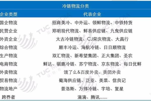如何通过生日排盘揭示你的性格与未来走向