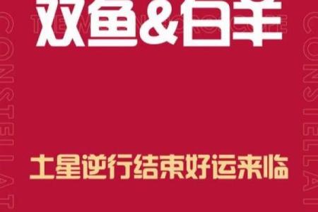 生肖龙今日运势解析：好运与挑战并存的关键时刻