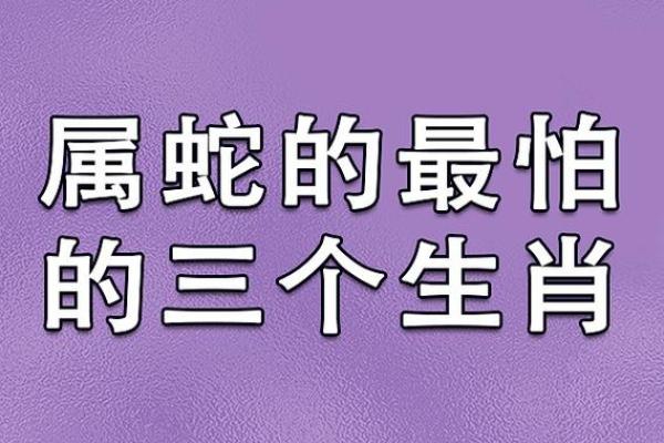 如何通过合适的风水布局化解生肖相冲
