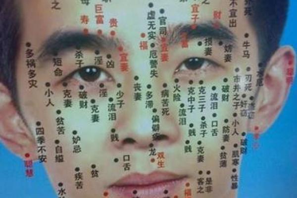 如何通过痣相分析揭示你的性格和命运