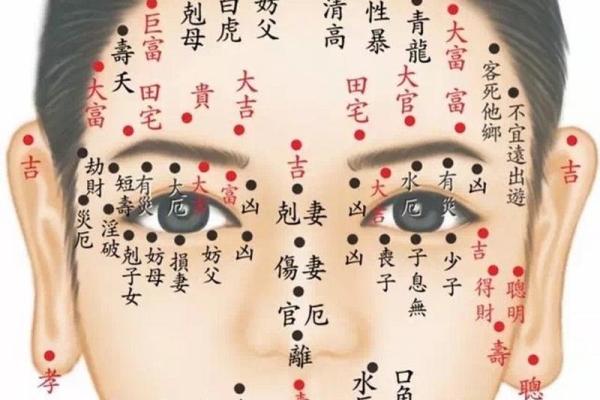 如何通过痣相分析揭示你的性格和命运