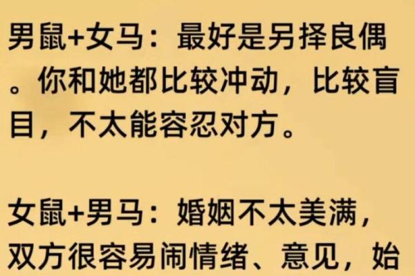 鼠与哪些生肖最搭配：最佳配对解析