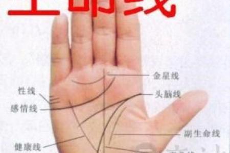 解读命理学：揭示人生轨迹的奥秘