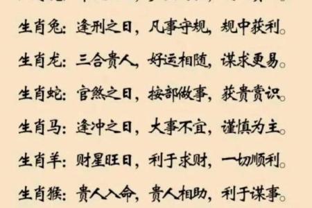 鼠与哪些生肖最搭配：最佳配对解析