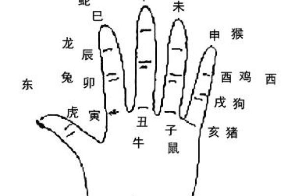 东西四命：命理中的方位与命运之谜