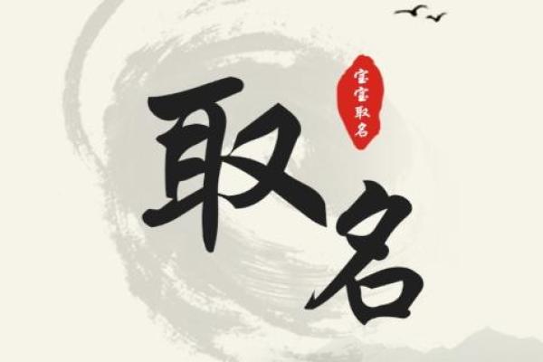专业宝宝起名公司如何提供个性化命名服务