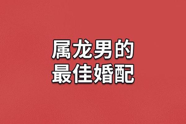 属龙与属马的婚配是否和谐？探讨两者的性格与契合度