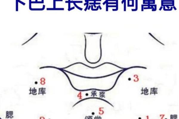 阴部痣相解析：健康与命运的微妙关联