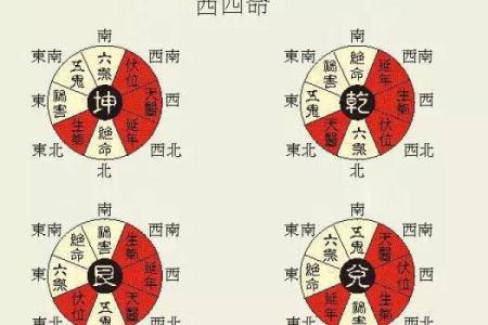 东西四命：命理中的方位与命运之谜