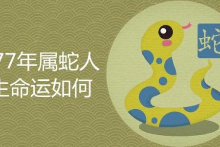 饿木命人的命运运势与事业发展