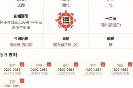 生肖解读与命运分析