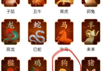 生肖相冲与运势变化