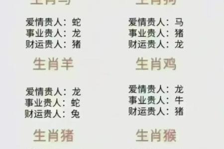 生肖相冲与性格差异的深层次影响