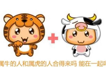 兔子和牛生肖配对分析：性格差异与婚姻和谐度探讨