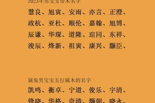 男宝宝起名趋势解析
