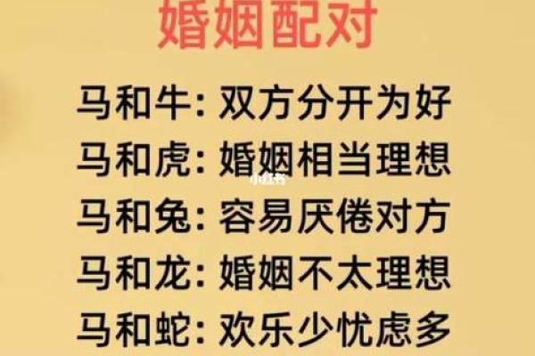 属兔与属牛的爱情配对：真能走到一起吗？