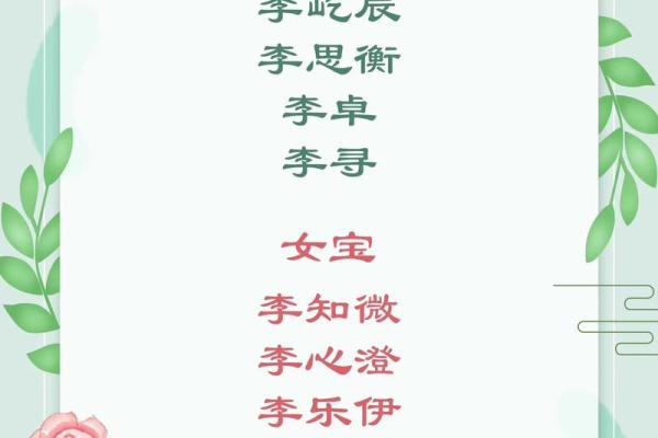 李姓鸡宝宝取名指南：如何选一个既独特又有寓意的名字